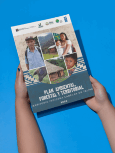 Plan Ambiental, Forestal y Territorial del Territorio Indígena de Telire