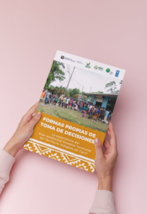 Formas propias de toma de decisiones: La experiencia del Plan Ambiental Forestal Territorial del Territorio Indígena de Tayní
