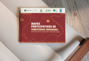 Mapas participativos de territorios indígenas: una visión desde el conocimiento y la identidad indígena
