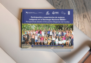 Participación y experiencias de mujeres indígenas en la Estrategia Nacional REDD+